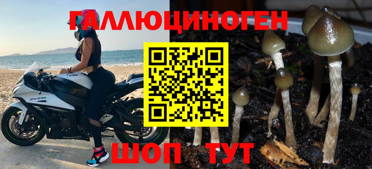 Галлюциногенные грибы GOLDEN TEACHER Анапа
